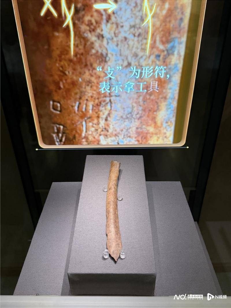 在國家圖書館，走進“典籍裡的書院”