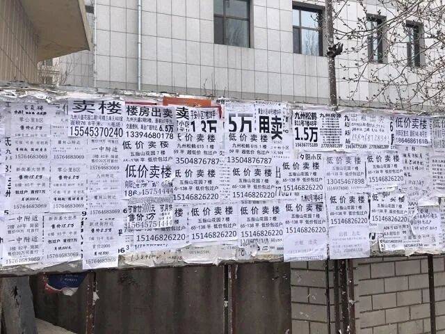 鶴崗「房產一哥」，轉行擦邊背後