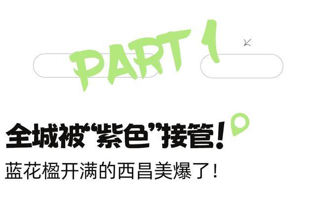 比大理浪漫！比昆明更近！高鐵直達陽光小城，2萬株藍花楹美瘋！觀海登山，美食吃到爽！